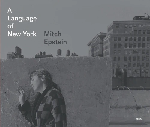 Language of New York
